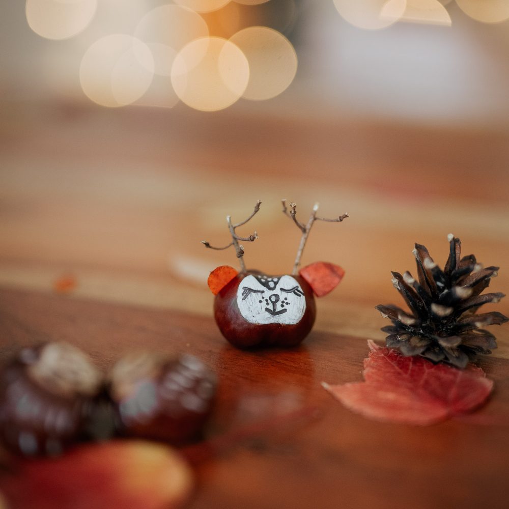 bastelideen-herbst-kinder-13