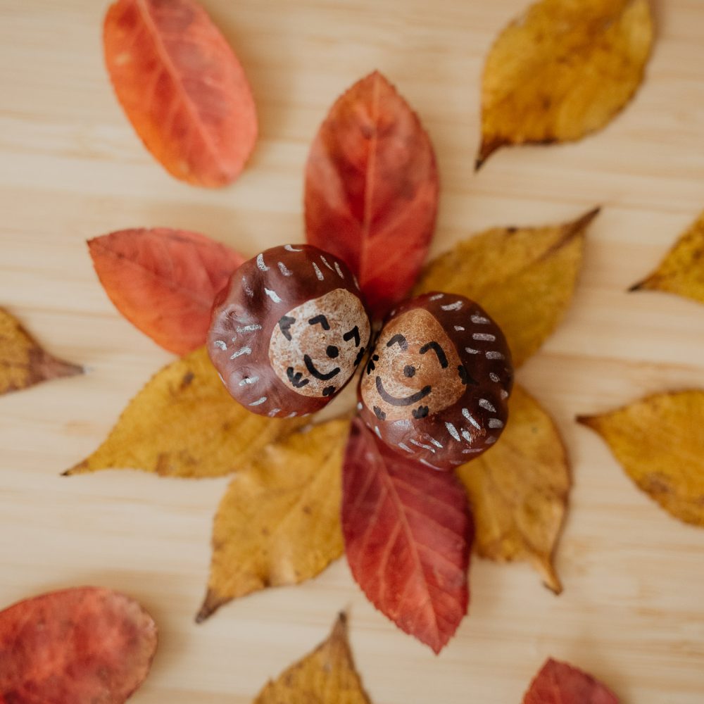 bastelideen-herbst-kinder-27