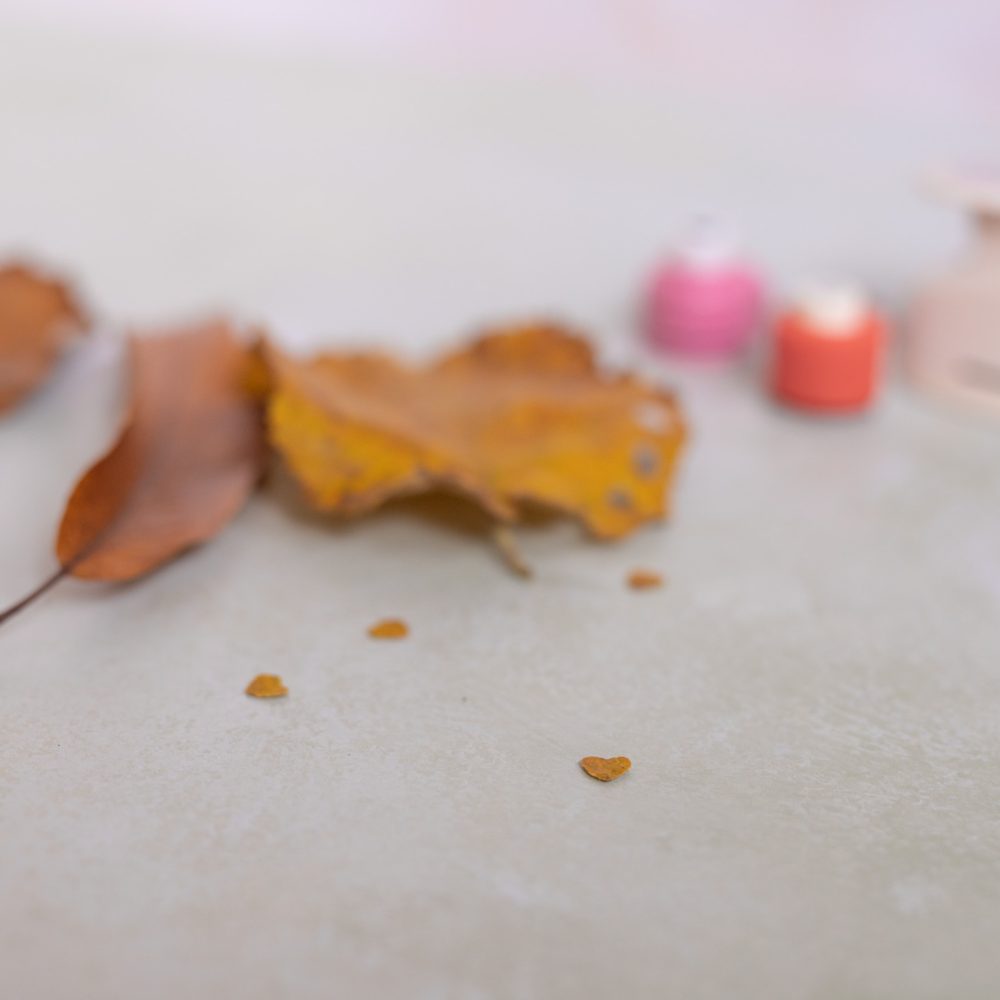 konfetti-aus-naturmaterialien-13